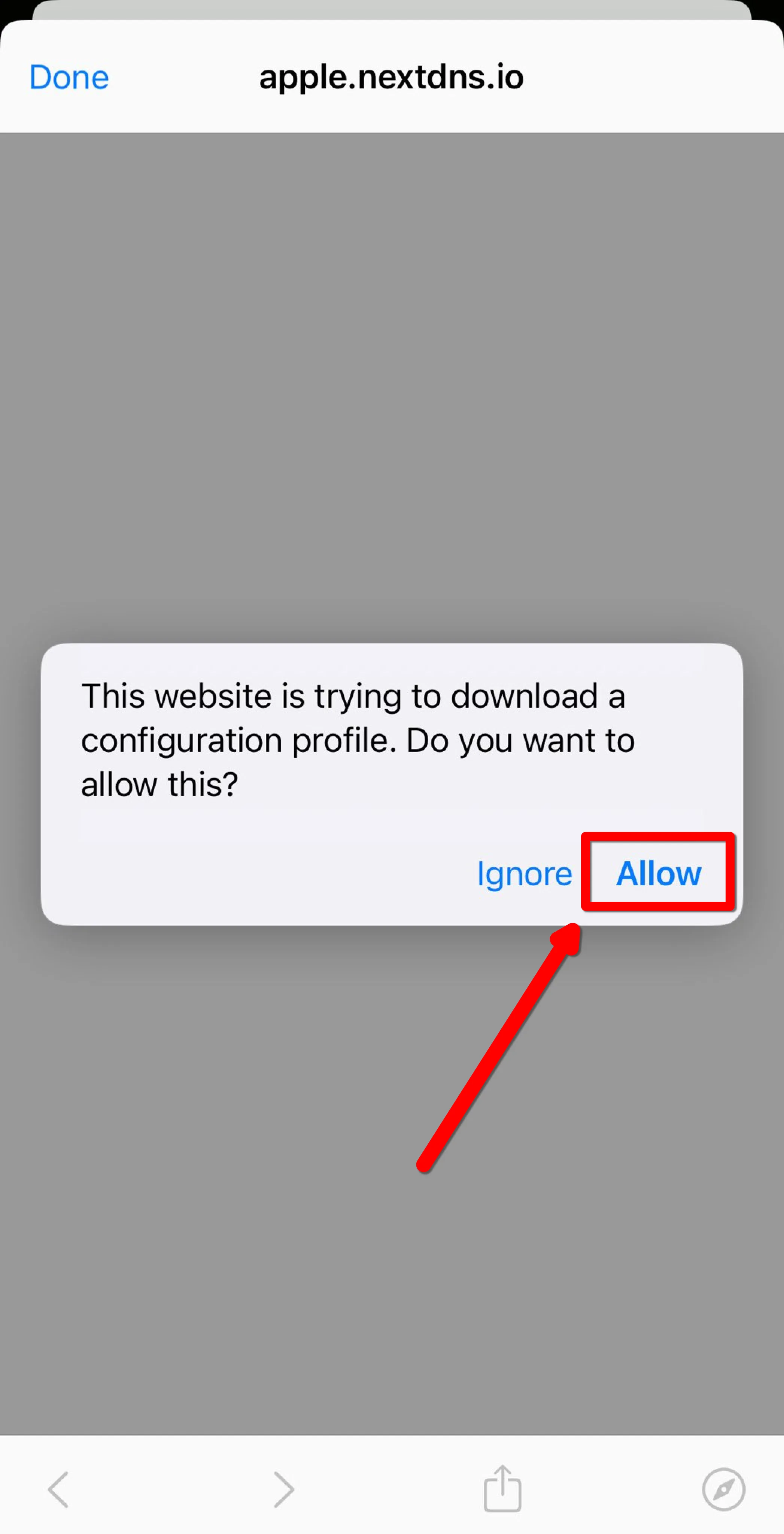 iOS permissions prompt for allow download
